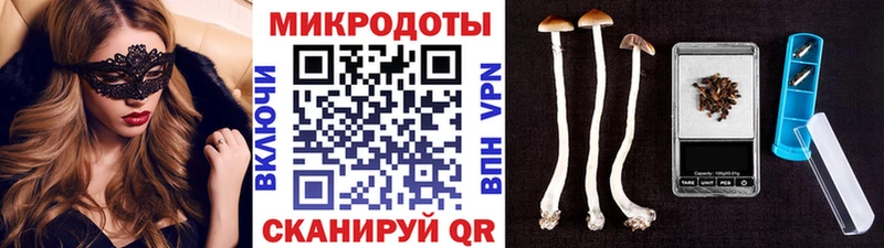 Галлюциногенные грибы Psilocybine cubensis  Купить закладки  Хилок 